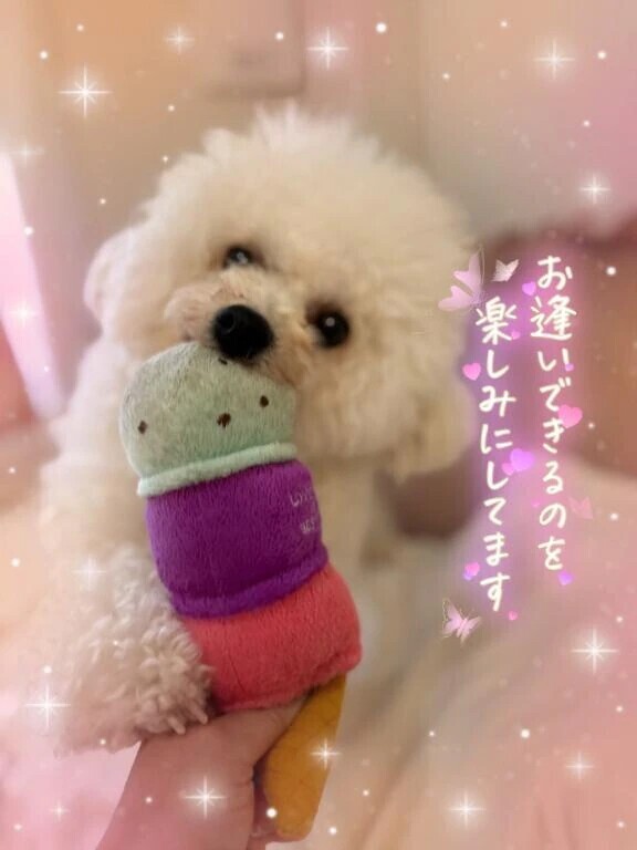 本日の空き枠は19:00以降です♥️