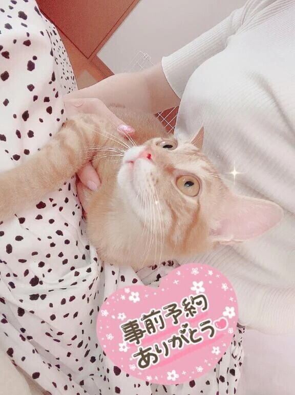 とても眠い朝