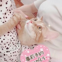 遠藤かれん