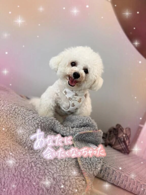 あなたが居るから頑張れる=原動力♥️