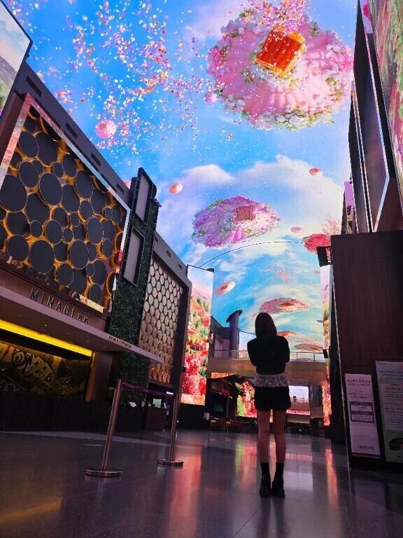 綺麗だった✨️