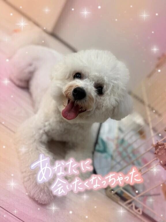 お休み期間です♥️