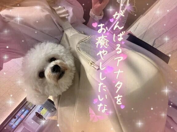 次回は明日♥️