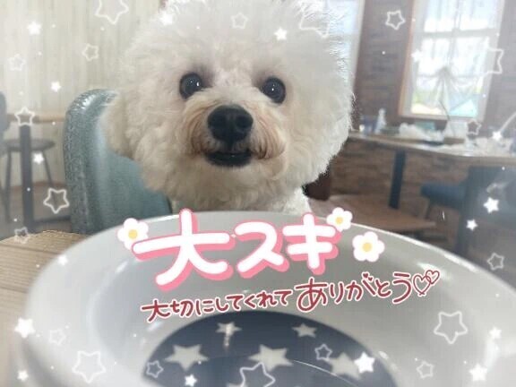 🈵🈵本日コースアップありがとう&完売🈵🈵