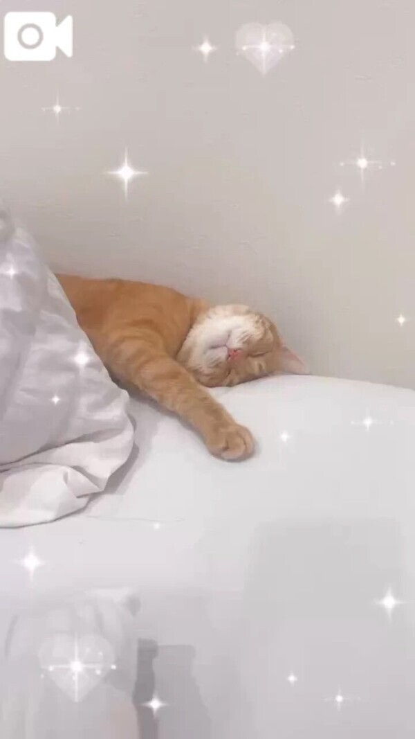 出勤時間変わるよ😼✅
