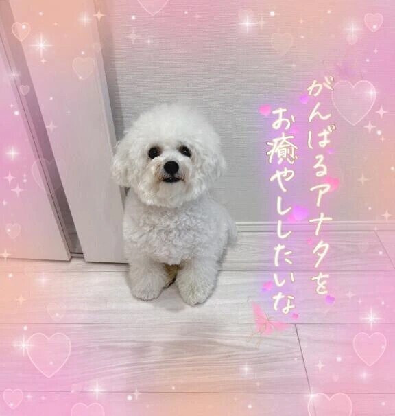 明日のご予約ありがとうございます🙋‍♀️💕