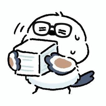 今月の予定
