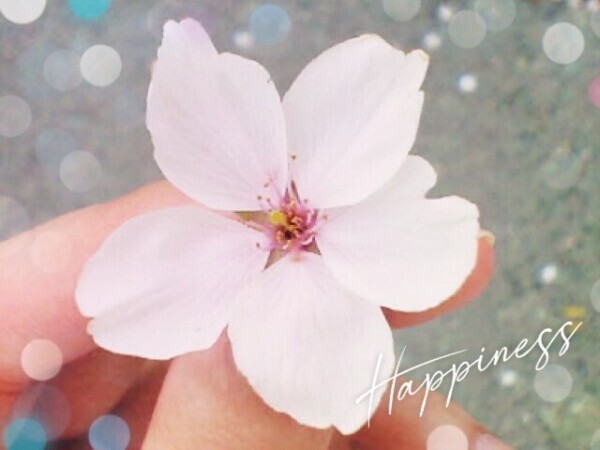 花弁