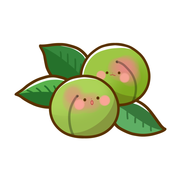 こんにちわ
