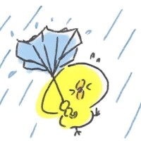 青山　るい
