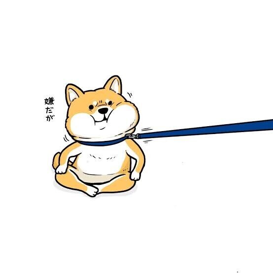 こんにちわ