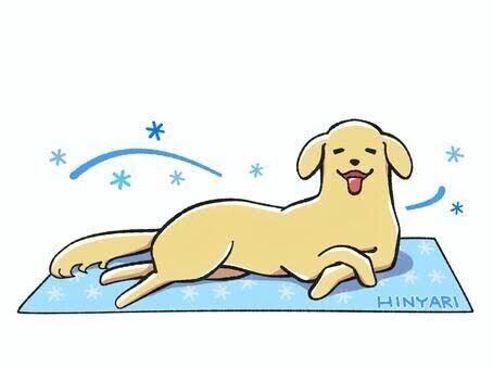 こんにちわ