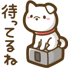 こんにちわ