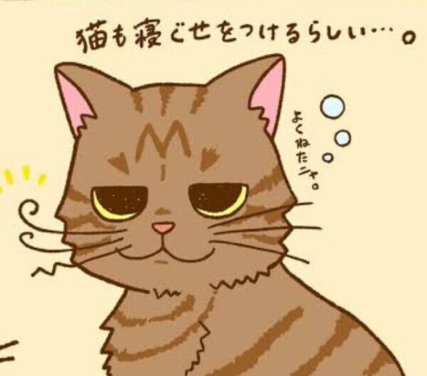 検討中