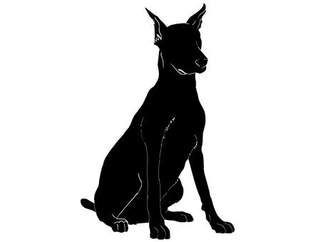 気になる、、、