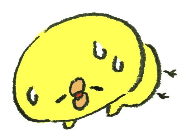 昨日のは！？