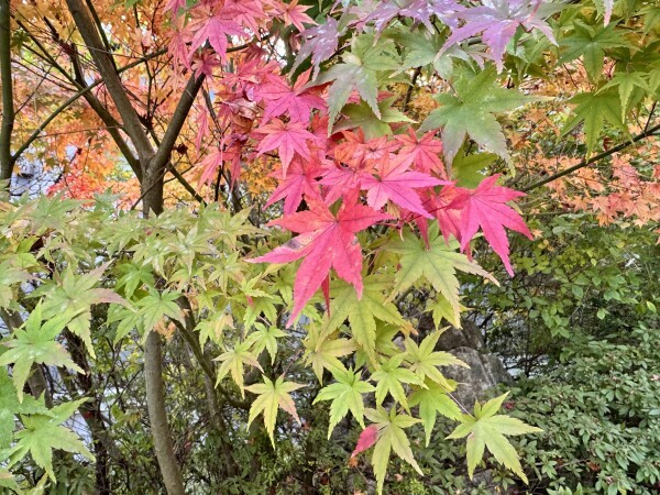 17時から🐻ྀི