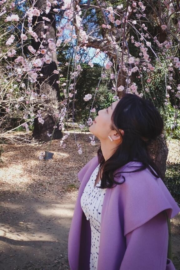 柳暗花明。