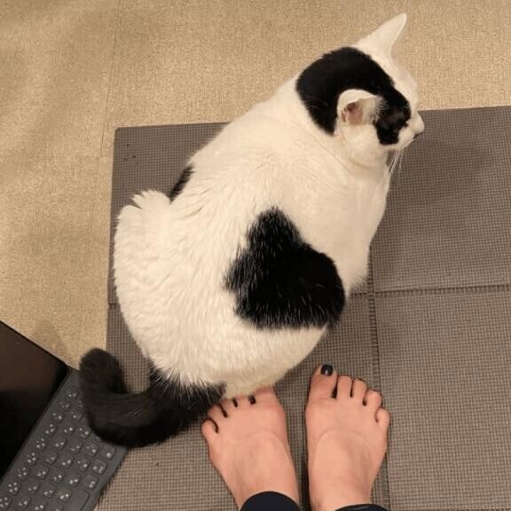 おはよう