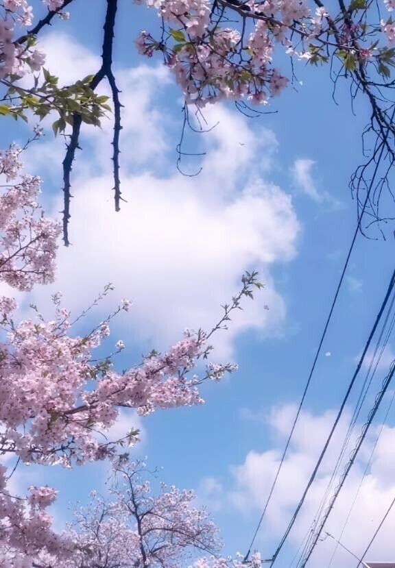 一生