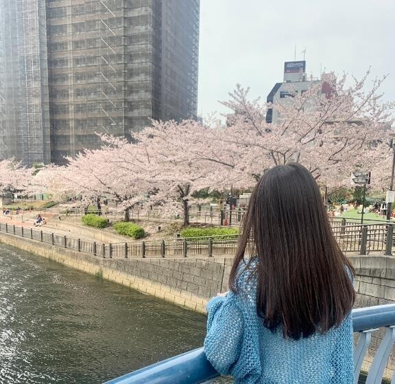 五反田の桜