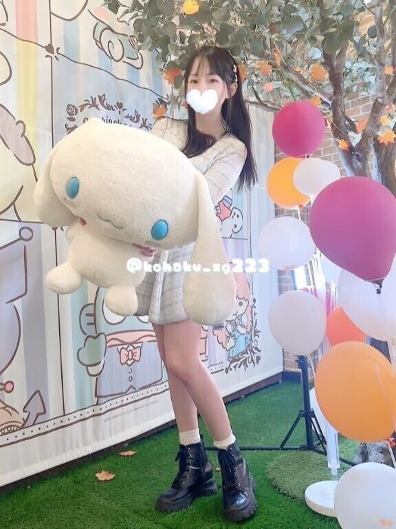 ?しながわ観光大使⊂・-・⊃?