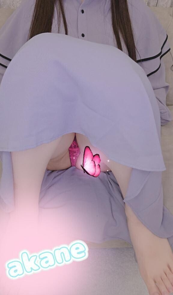 会いに来てねん?