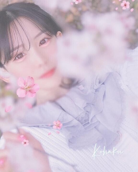 ?さくら?ありがとう?