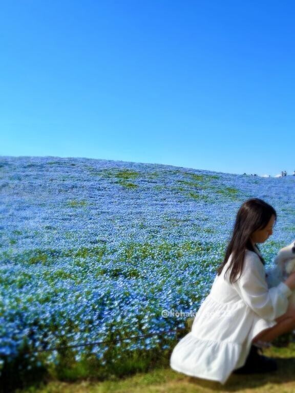 ?愛されLADYのこどもの日??