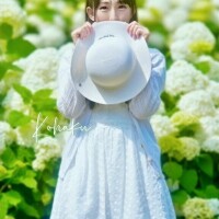 こはく