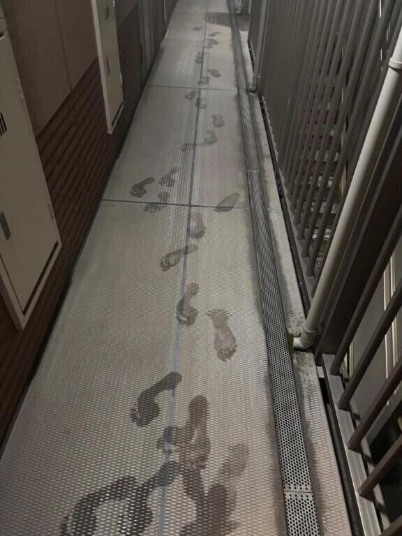 お酒は程々に。