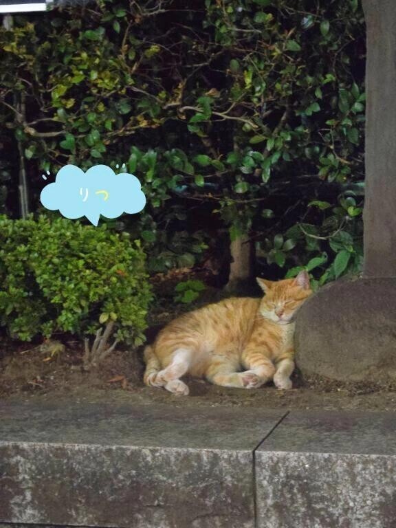 深呼吸して