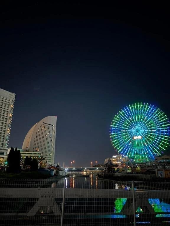 今日もいる！