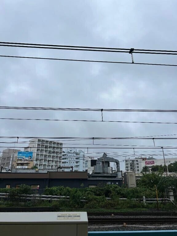 久しぶりにいます！