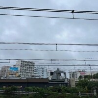 ほの