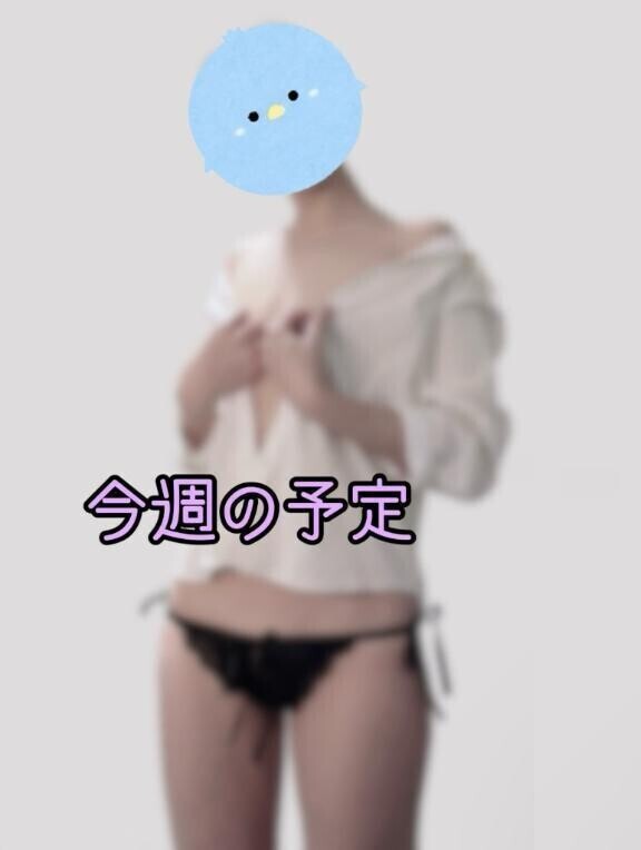 今週の予定