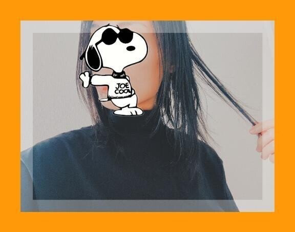 今週はお休みです(:3_ヽ)_