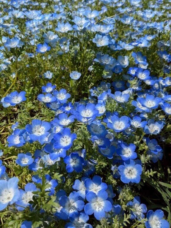『触れられるって、心までほぐれるんだなって思った。』