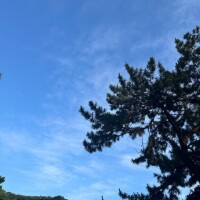 じゅり