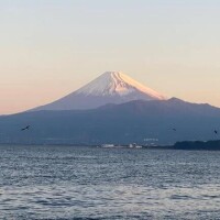 らいき