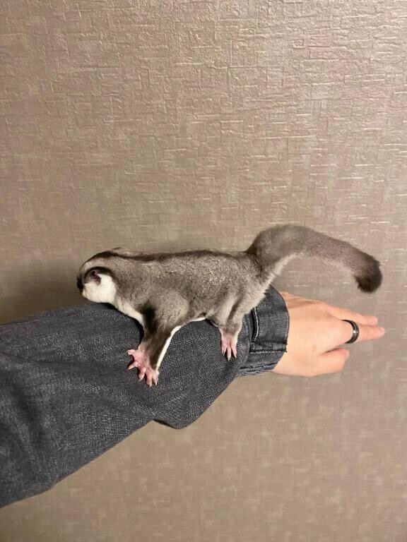 こんなに大きくなったよ〜