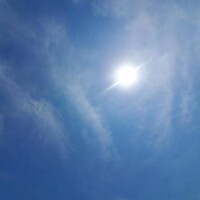 しおん