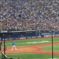 ゆき