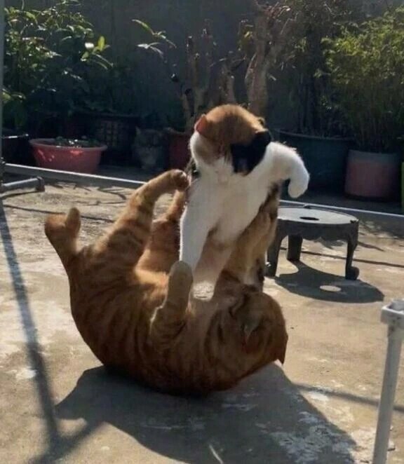 🧊やさしい時間のつくりかた🧊