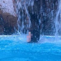 もみじ