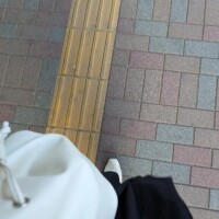 しょうこ