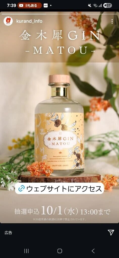 今週は明日まで✨