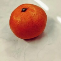 今日の合言葉♡