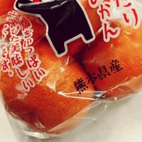 今日の合言葉♡