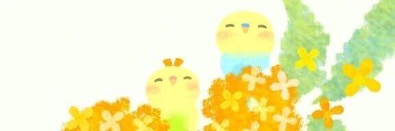 今日もありがとうございました！